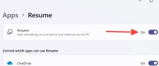 Windows 11de Devam özelliğini etkinleştirme talimatları