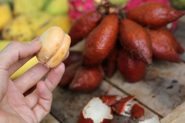 Lijst van fruitsoorten die tot de zeldzaamste en lekkerste ter wereld zijn verkozen