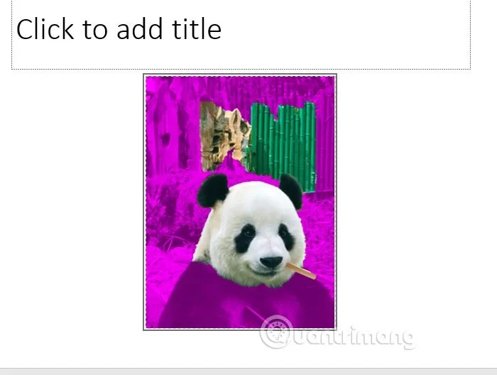 PowerPoint'te resim arka planı nasıl kaldırılır