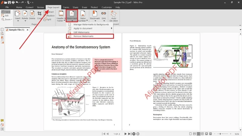 El mejor software de actualización de controladores para computadoras