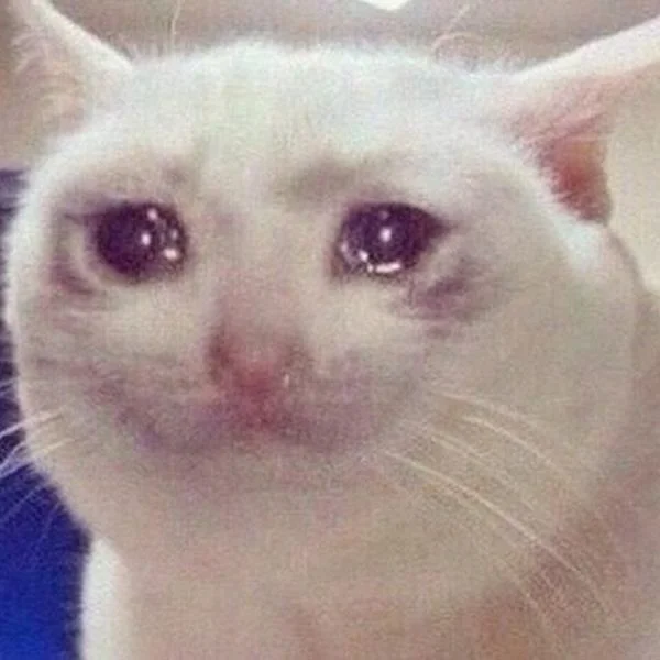 Meme van een huilende kat, grappige foto's van een huilende kat