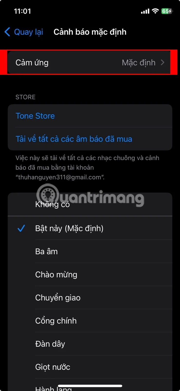 Cómo desactivar la vibración en el iPhone