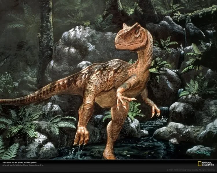 Os dinossauros carnívoros mais perigosos dos tempos pré-históricos