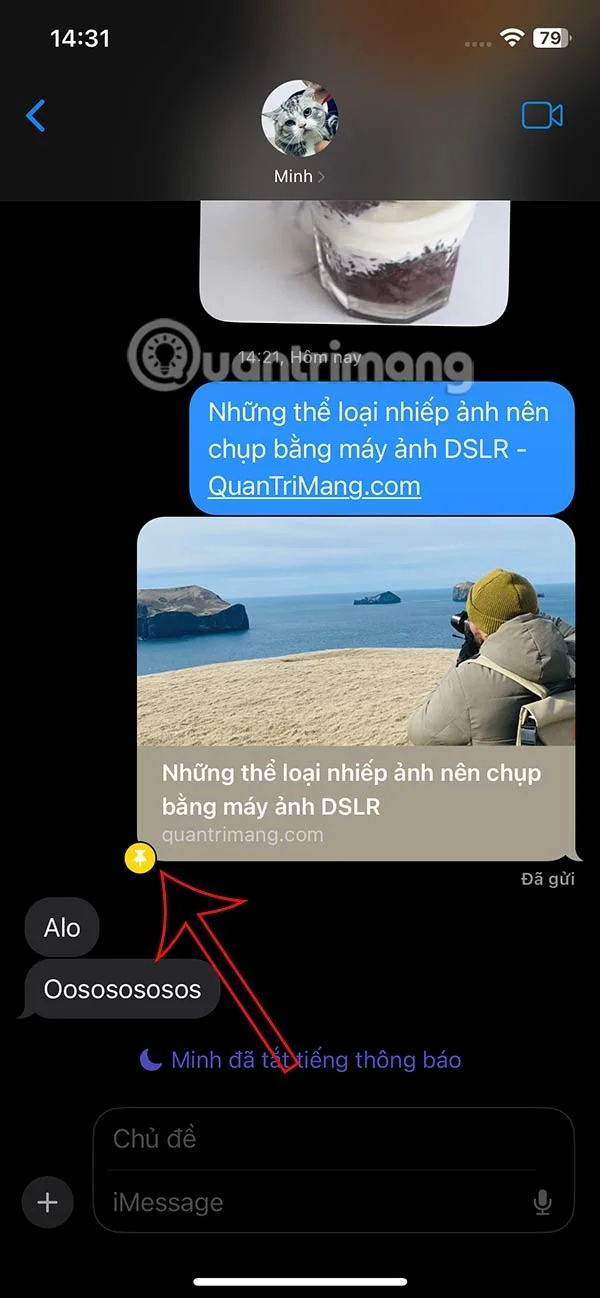 Cum să fixați conținutul partajat în mesajele iPhone