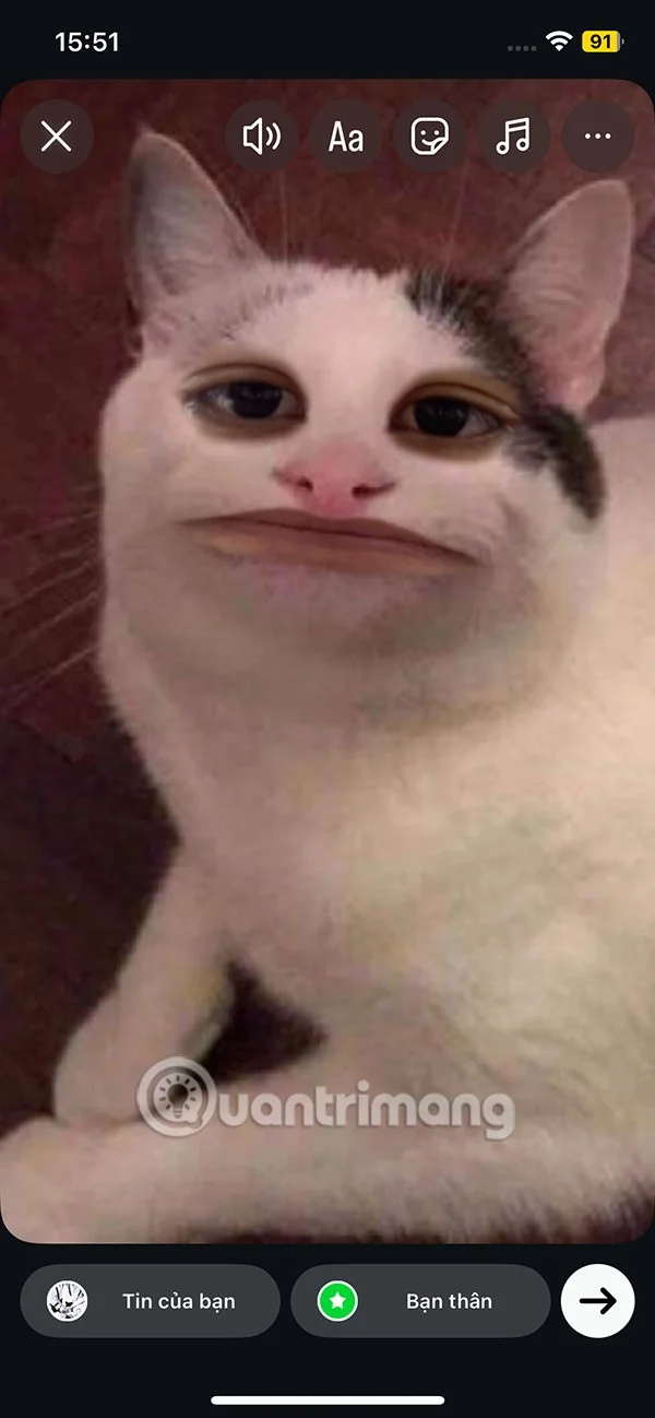 Cómo descargar el filtro Talking Cat en Instagram