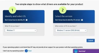 Windows 11 için Realtek High Definition Audio sürücüsü nasıl indirilir