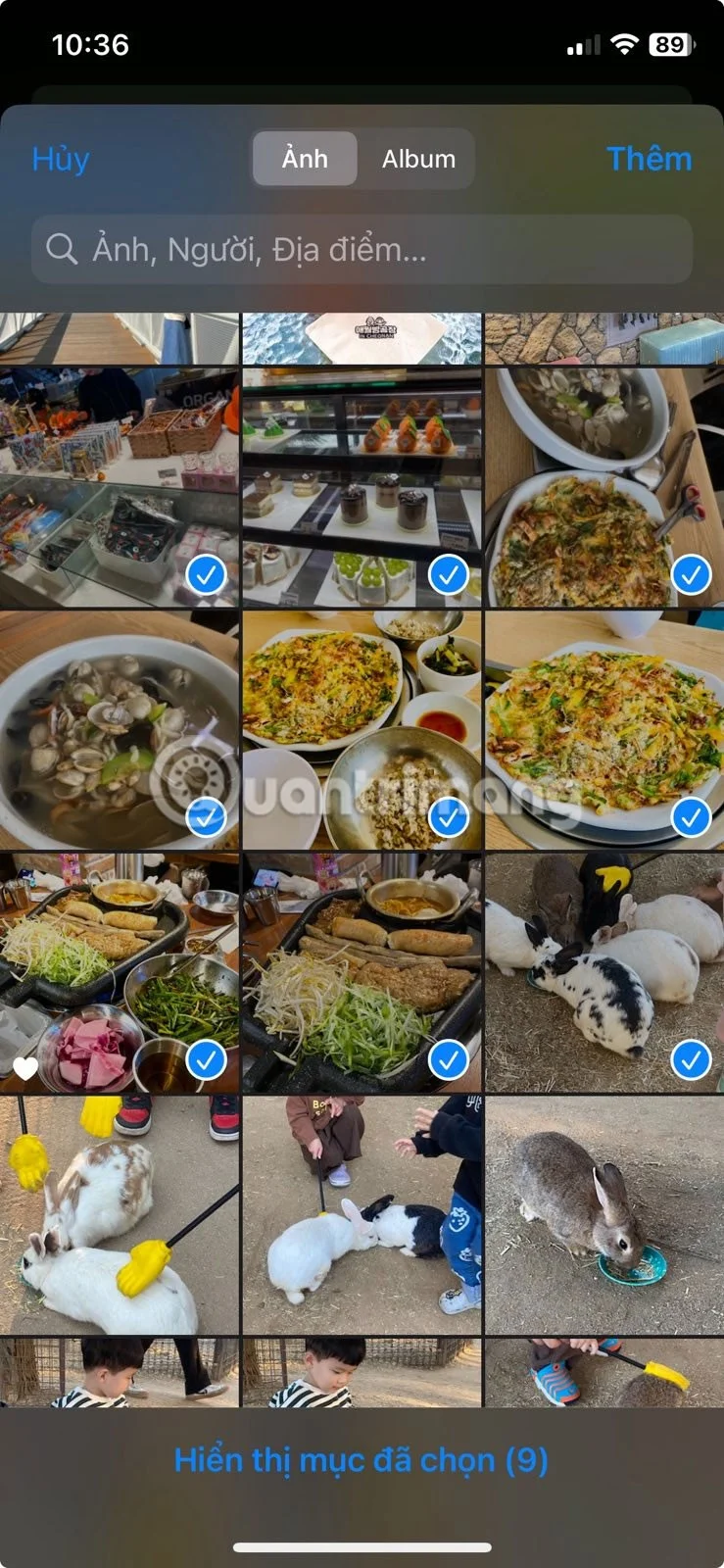 iPhone에서 사진 앱을 빠르게 마스터하기 위한 8가지 팁