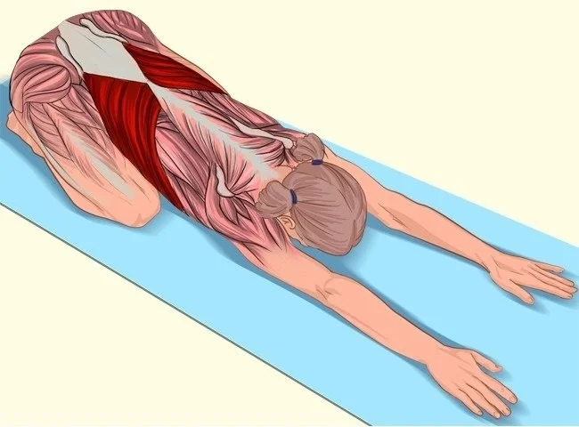 18 movimientos sencillos para estirar los músculos en cualquier posición del cuerpo