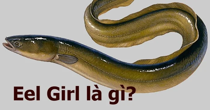 Wat is Eel Girl? Waarom is Eel Girl eng? Wat is Eel Girl? Waarom is Eel Girl eng?
