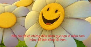 Positive quotes, happy status, short optimistic and positive status