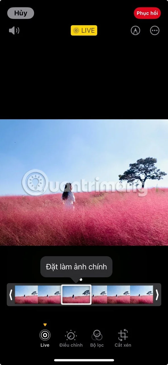 iPhone에서 더 나은 라이브 사진을 찍는 방법