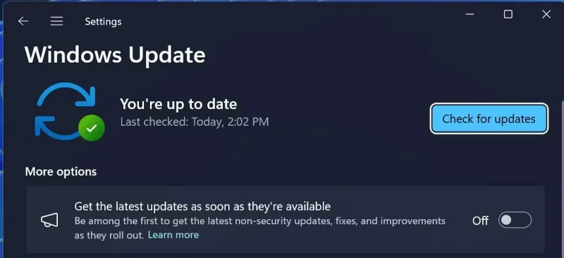 ¿Qué hacer cuando no se encuentra Copilot en Windows 11?