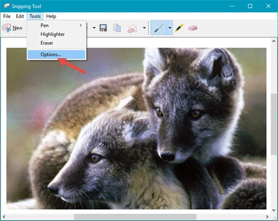 How to use Snipping Tool on Windows 10 full
