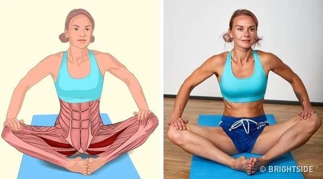 18 movimientos sencillos para estirar los músculos en cualquier posición del cuerpo