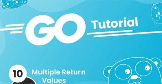 Função retornando múltiplos valores em Golang