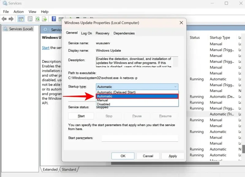 Cómo solucionar el error de instalación 0x800f081f en Windows 11