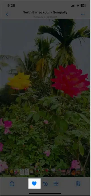 iPhoneで注目の写真を変更する手順