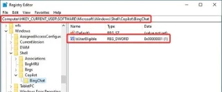 Windows 10da Copilot nasıl etkinleştirilir