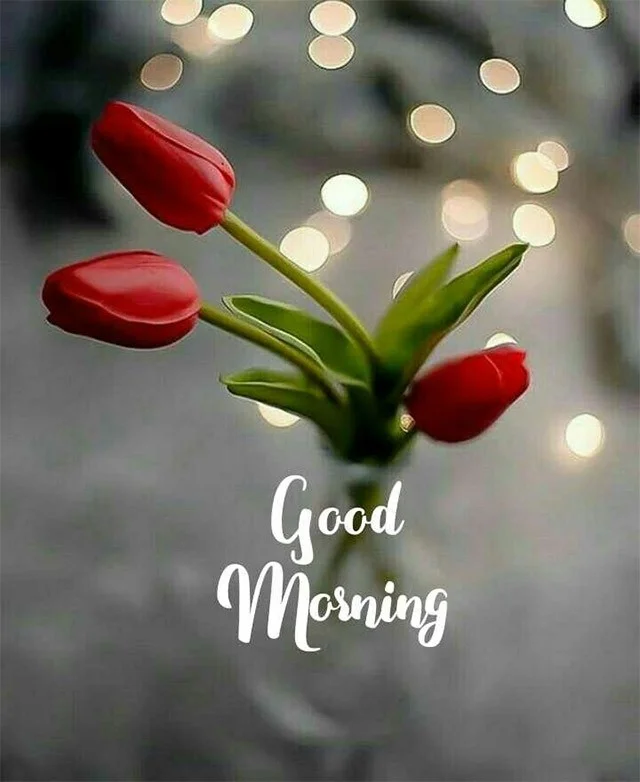 Imágenes de buenos días, hermosas imágenes de nuevo día.