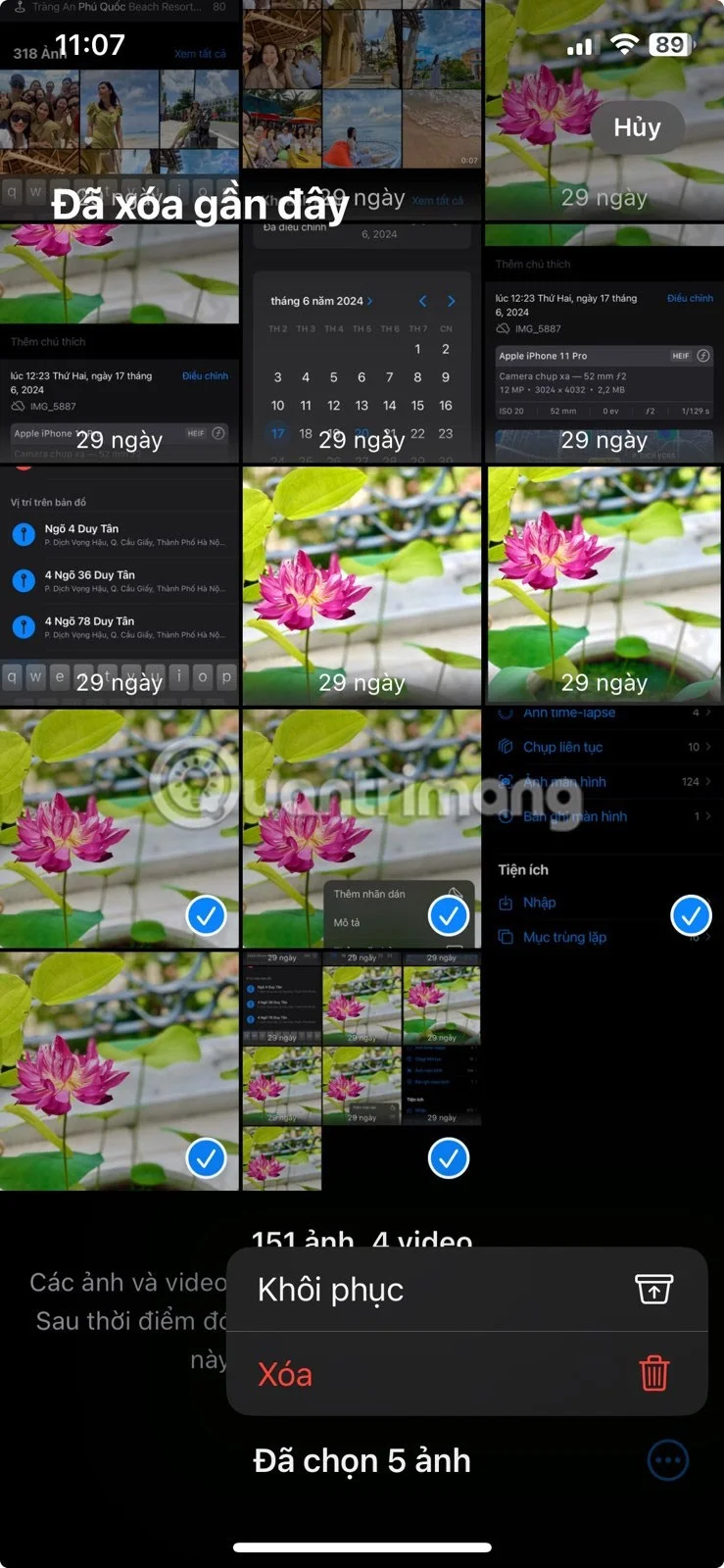 iPhone에서 사진 앱을 빠르게 마스터하기 위한 8가지 팁