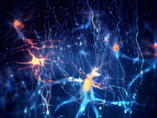 Ongelooflijk gedetailleerde hersenkaart toont activiteit van taalcoderende neuronen