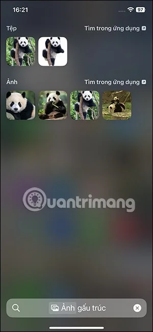 IPhone Spotlight 검색에서 이미지 표시를 끄는 방법