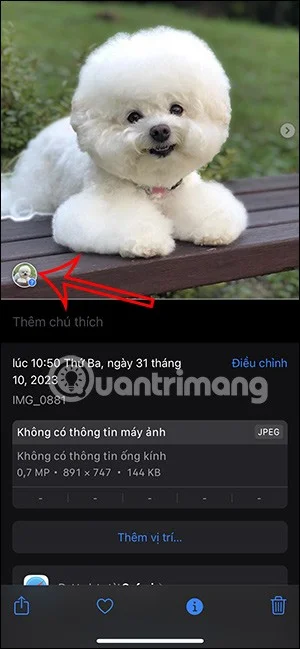 Como marcar animais de estimação nas fotos do iPhone