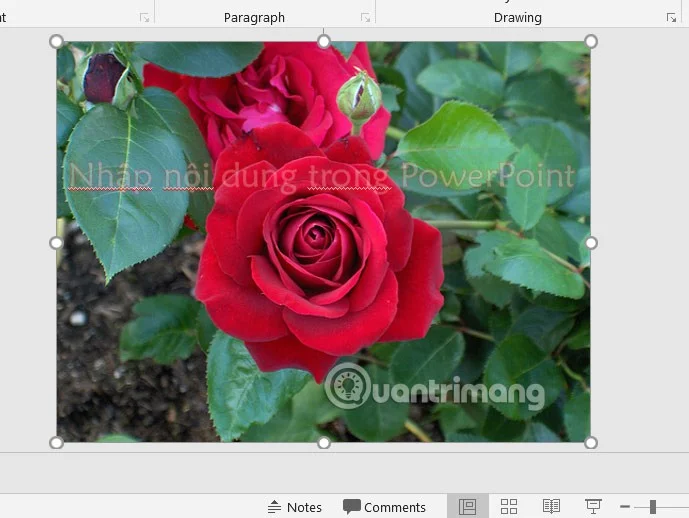 PowerPoint'te şeffaf metin nasıl oluşturulur