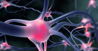 Health risks of Vitamin B12 deficiency