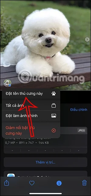 Como marcar animais de estimação nas fotos do iPhone