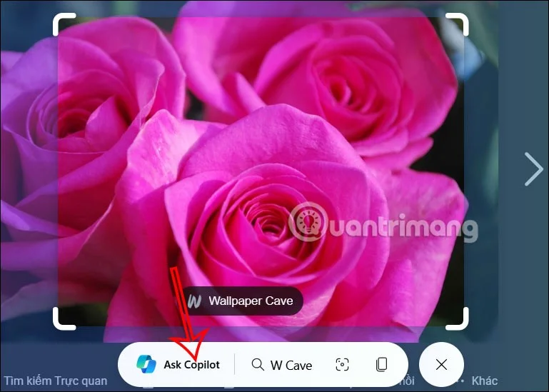 Cómo habilitar Circle To Copilot en Microsoft Edge