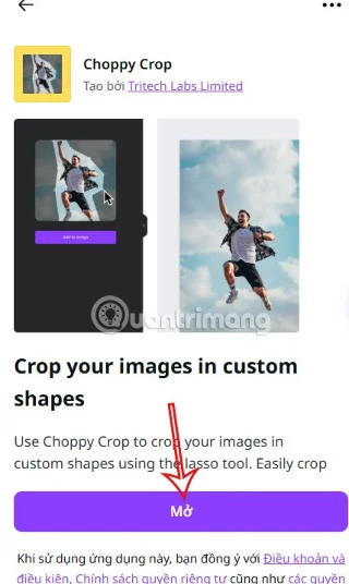 Como cortar fotos para dar forma no Canva