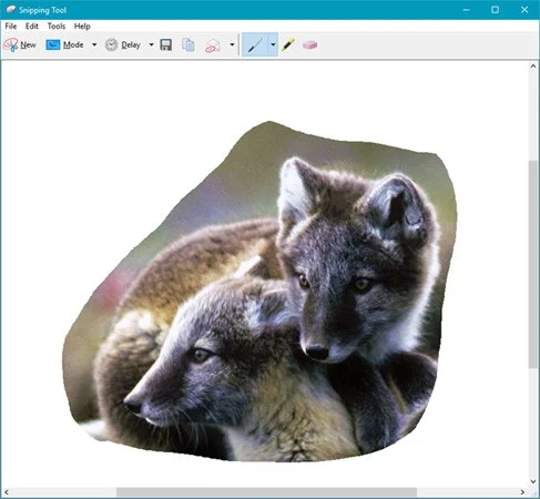 How to use Snipping Tool on Windows 10 full