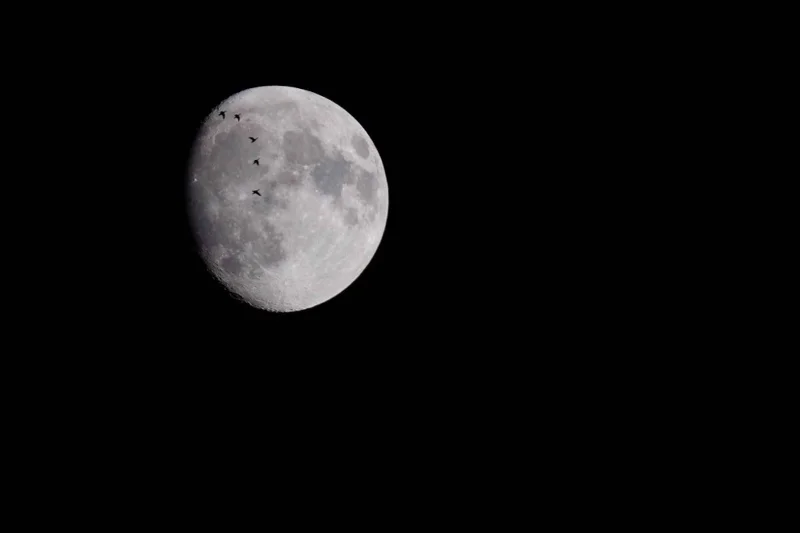 Impresionantes imágenes de la superluna desde todo el mundo.