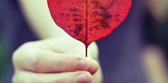 Liefdesstatus, goede en betekenisvolle status over liefde