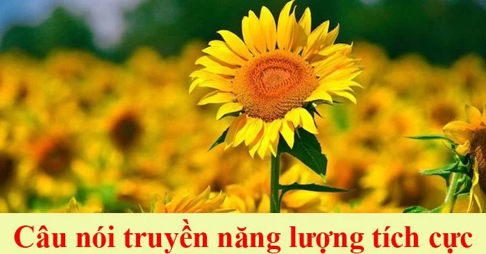 Positive energy status inspires and empowers you
