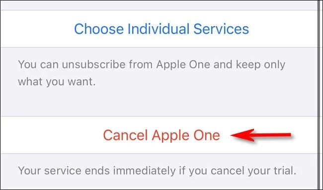 Wat is de Apple One-service?