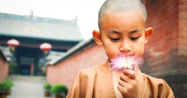 Good statuses about the world's tongue worth pondering