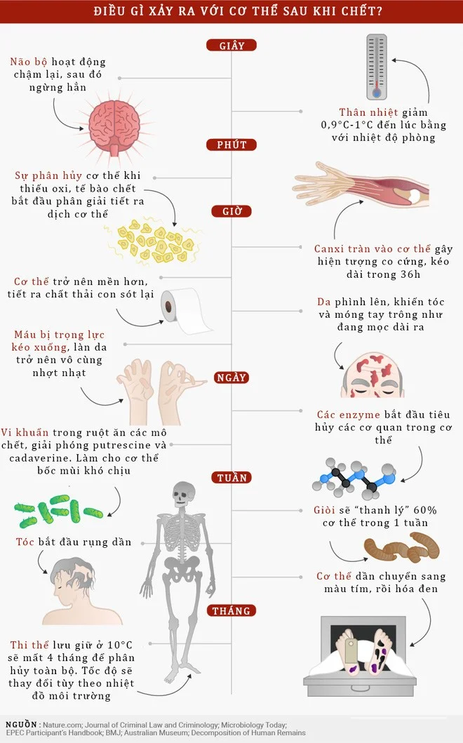 Primer plano del proceso de transformación del cuerpo humano después de la muerte.