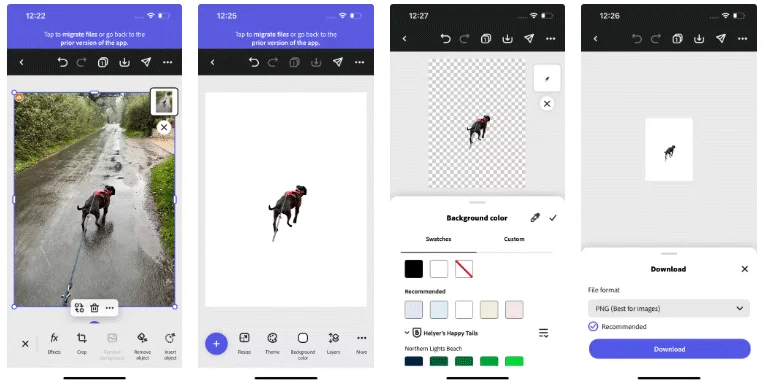 Magical photo background removal apps you should try