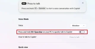 Windows 11de Copilot Alt + Boşluk çubuğu kısayolu nasıl devre dışı bırakılır
