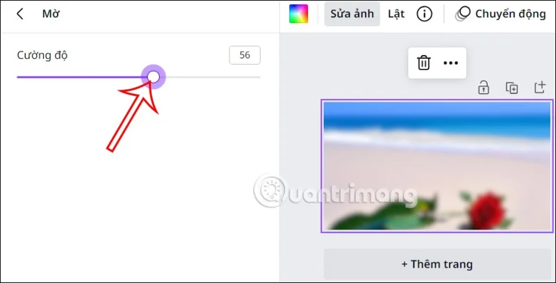 Como desfocar fotos no Canva de forma muito simples