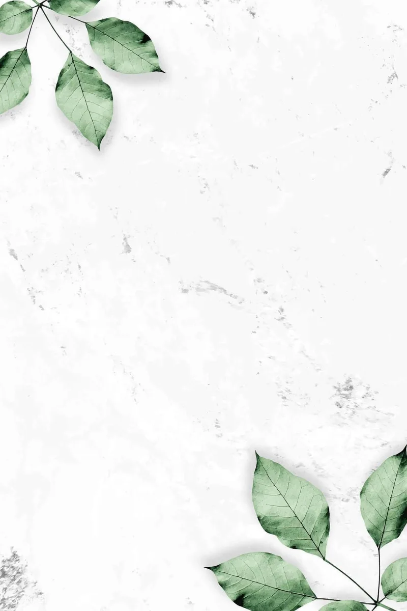 Papel pintado blanco, hermoso papel pintado blanco.