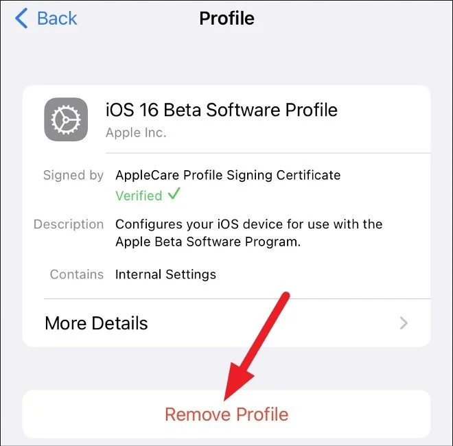 How to Downgrade from iOS 16 Beta 1 to iOS 15