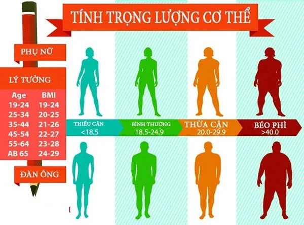 Dingen die u moet weten over de BMI
