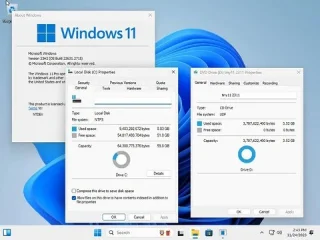 Süper inceltilmiş Windows 11 sürümü yalnızca 100 MB boyutunda