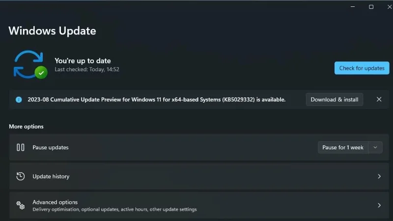 Windows 11 için Realtek High Definition Audio sürücüsü nasıl indirilir