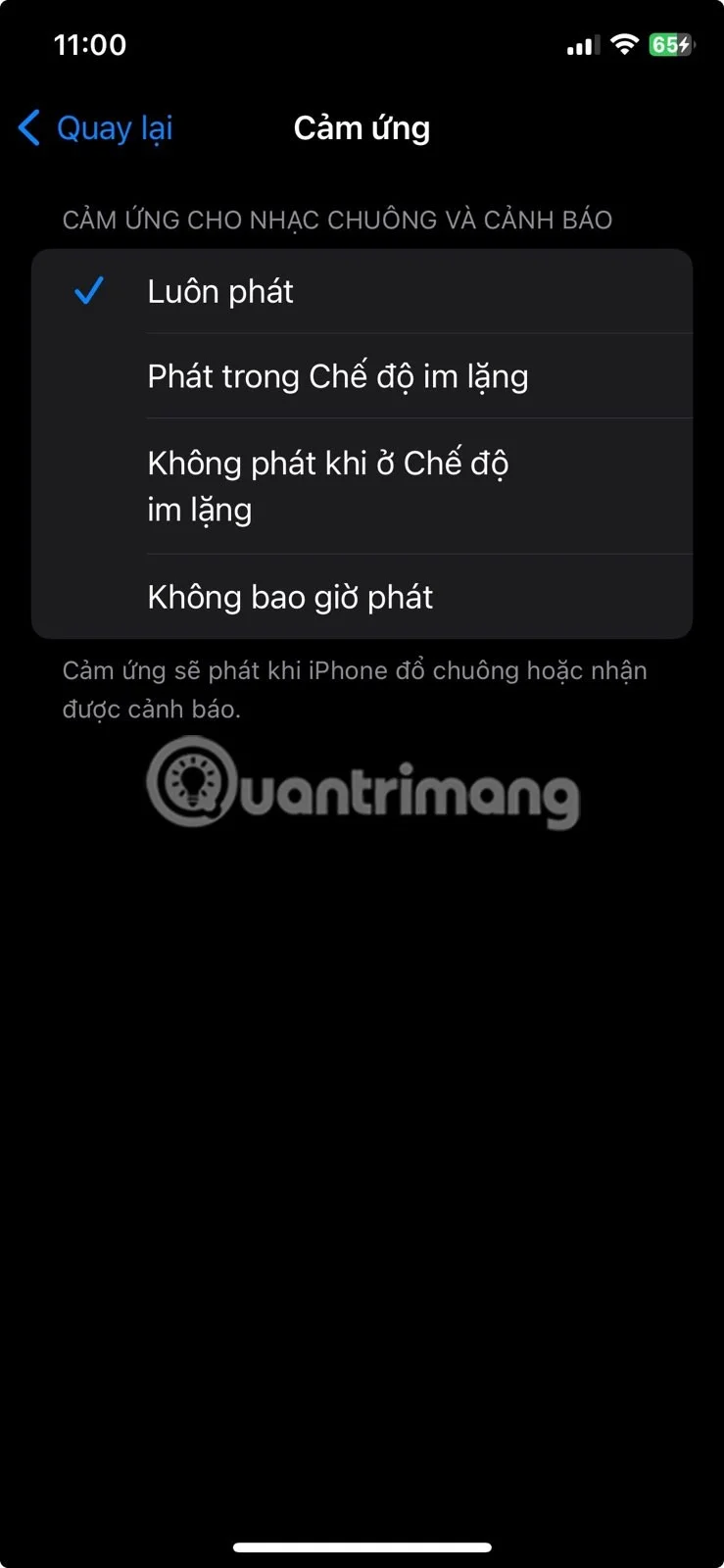 Cómo desactivar la vibración en el iPhone
