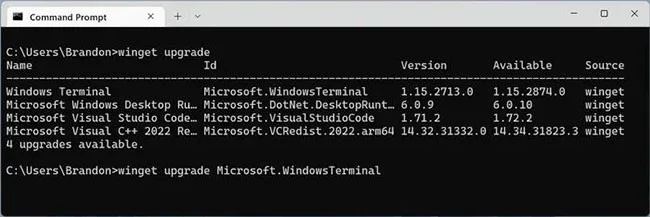 How to use Windows Package Manager to easily install and update programs