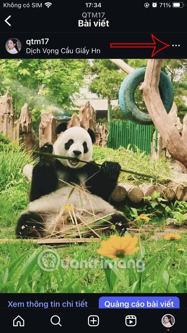 Cómo editar la foto de vista previa en el perfil de Instagram